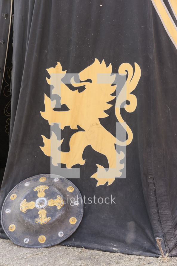 shield and dragon emblem 