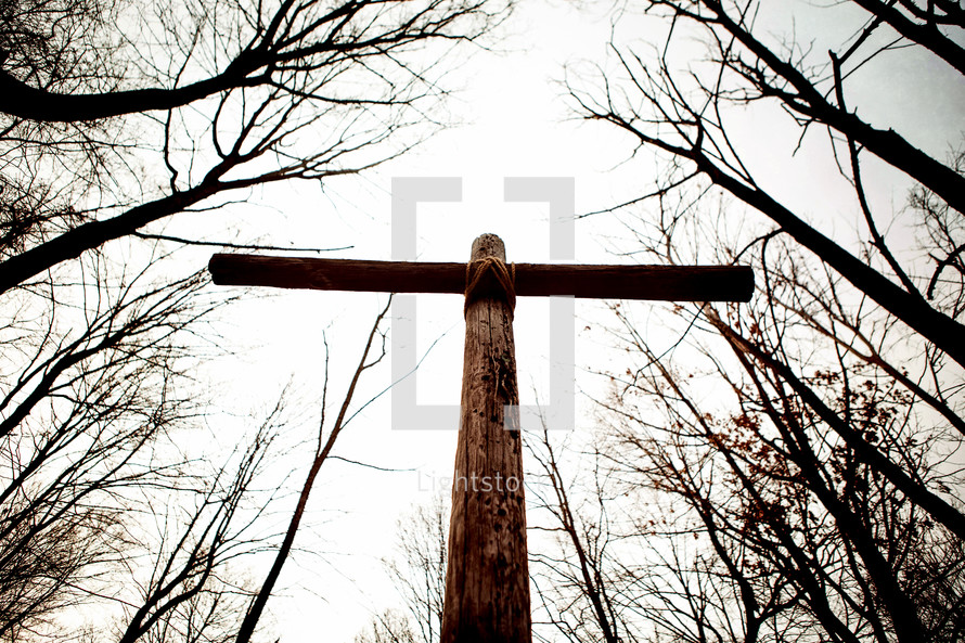 cross in a forest 