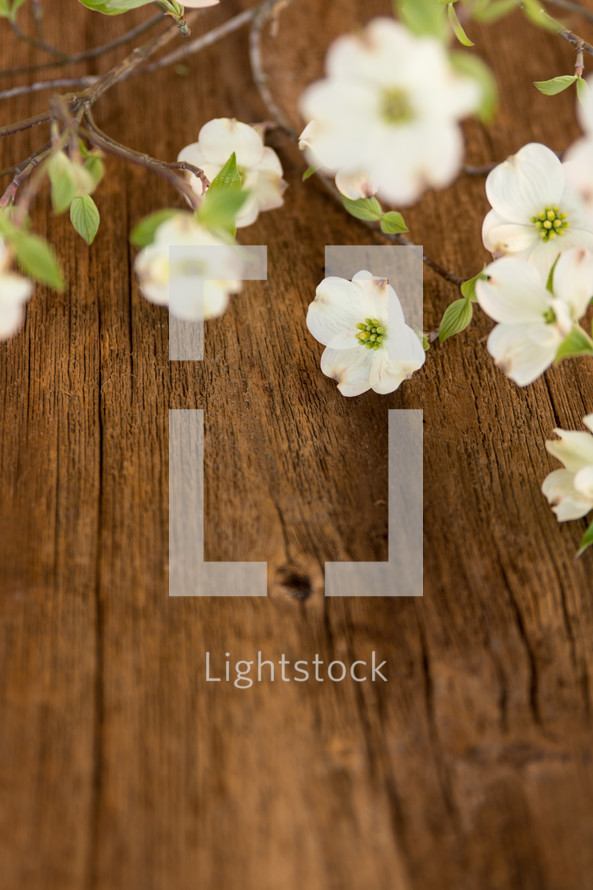 dogwood flowers on a wood table
