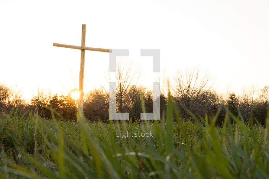 a cross in spring field