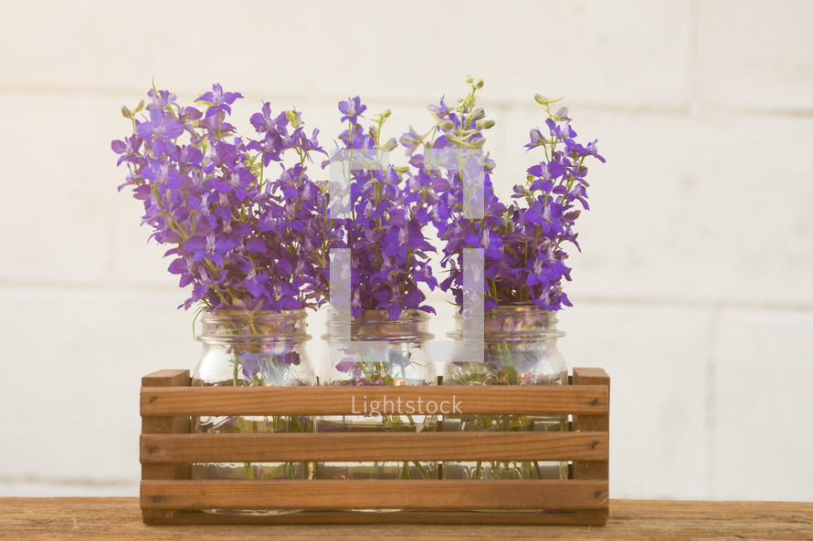 three jars of purple flowers with a white background