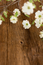 dogwood flowers on a wood table