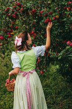 Beautiful woman picking up ripe red apple fruits in green garden. Girl in cute long peasant dress. Organic village lifestyle, agriculture, gardener occupation. High quality 