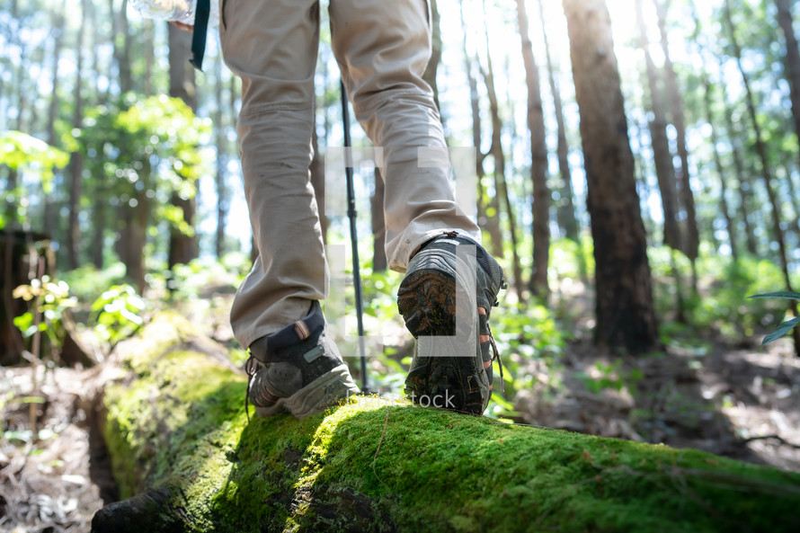 Man walking on a log,hikers on their adventure in forest, close up shoe.