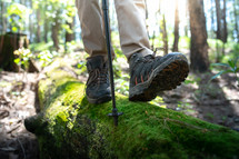 Man walking on a log,hikers on their adventure in forest.