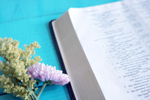 flowers and an open Bible 