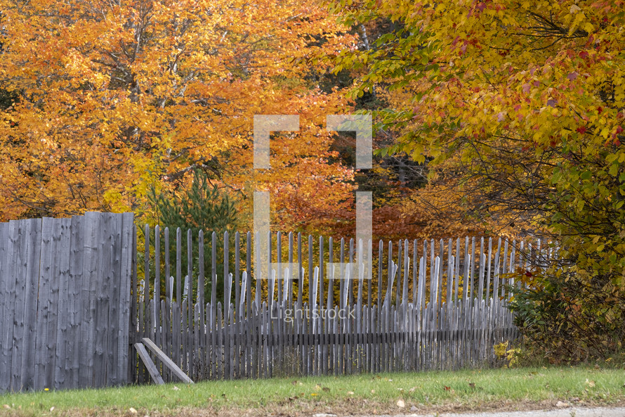 fence in fall 