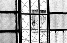 A person peaking from a window covered in bars