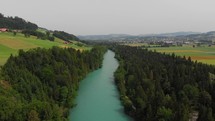 river surrounded by forest