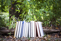 row of books on the ground 