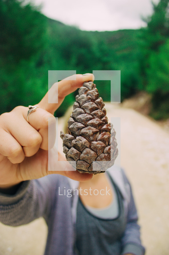 woman holding up a pine cone 