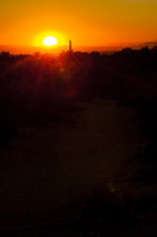 sunsetting in the desert