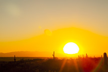 sun setting in the desert 