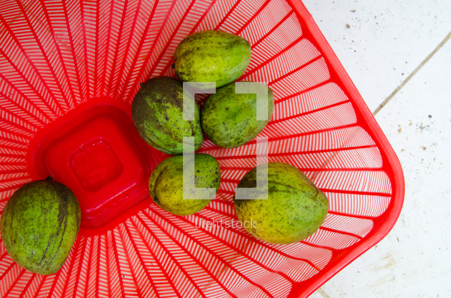 Fresh Mangoes in a red basket.
