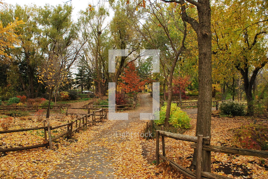 



Tree-lined path with fall foliage and wooden fence.
