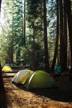 tents at a campsite 