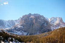 mountain peak and winter forest 