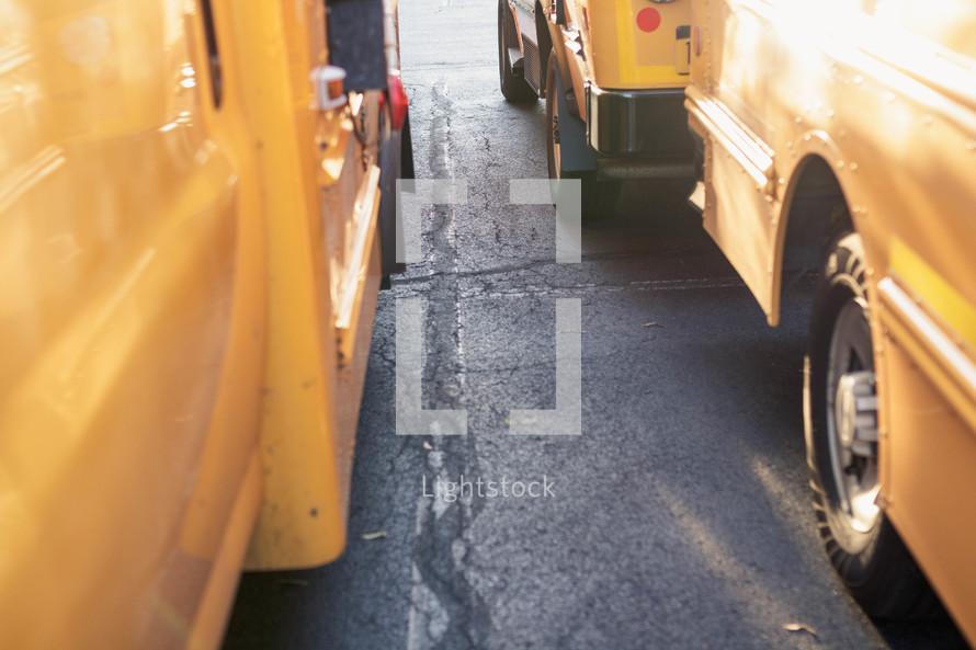 rows of parked school buses 