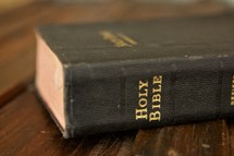 Bible spine