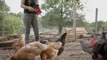 a woman feeding chickens 