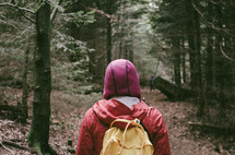 a woman in a pink hoodie hiking on the forest path