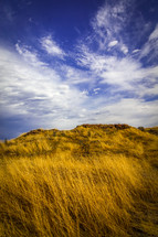 blue sky and wispy clouds above a golden field 
