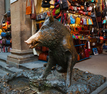 Bronze pig statue, one of the symbols of Florence, Italy.