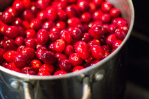 cranberries in a pot on the stove