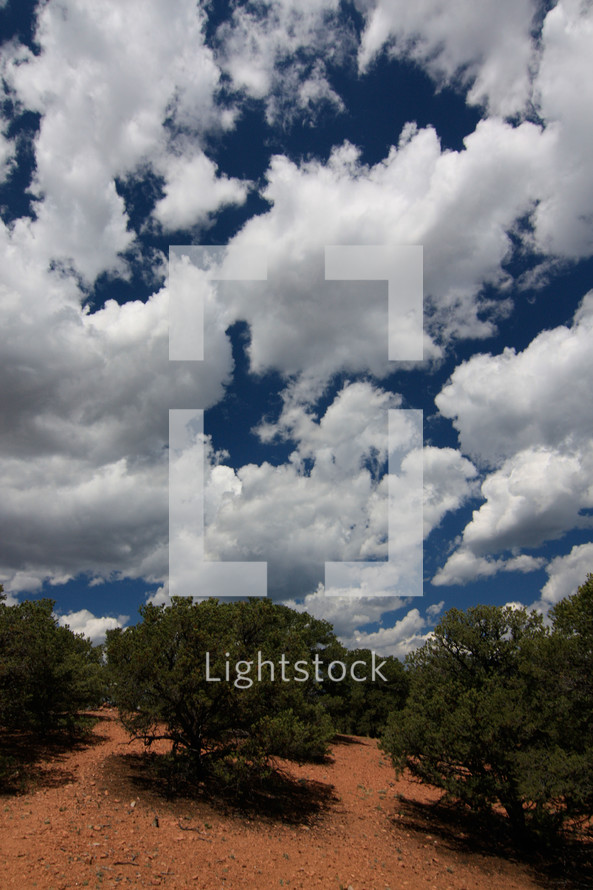 clouds in the blue sky and trees growing on a hillside