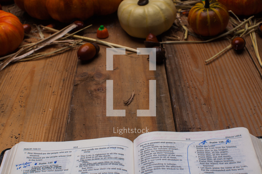 Holy Bible on a wood table and border of pumpkins