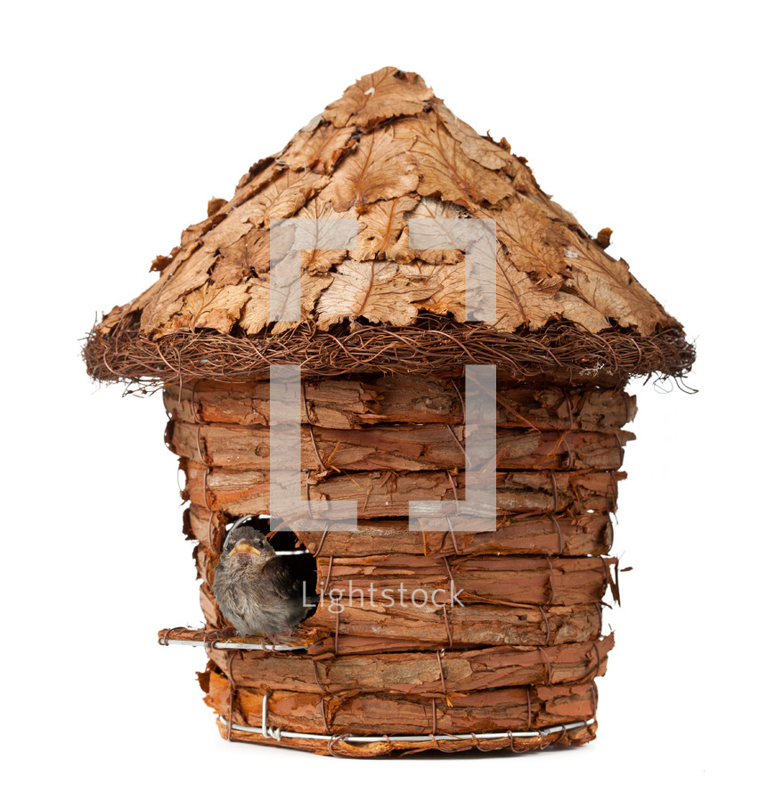 wooden birdhouse 