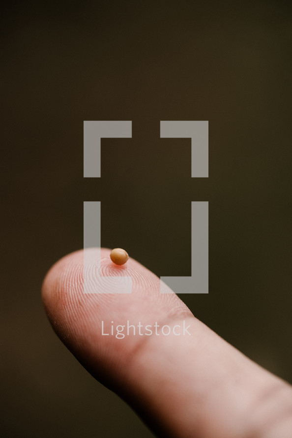 tiny mustard seed on a finger 
