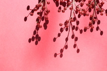 Festive background with shadow on a red/pink background