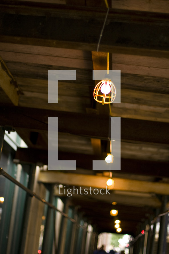 light bulbs in cage