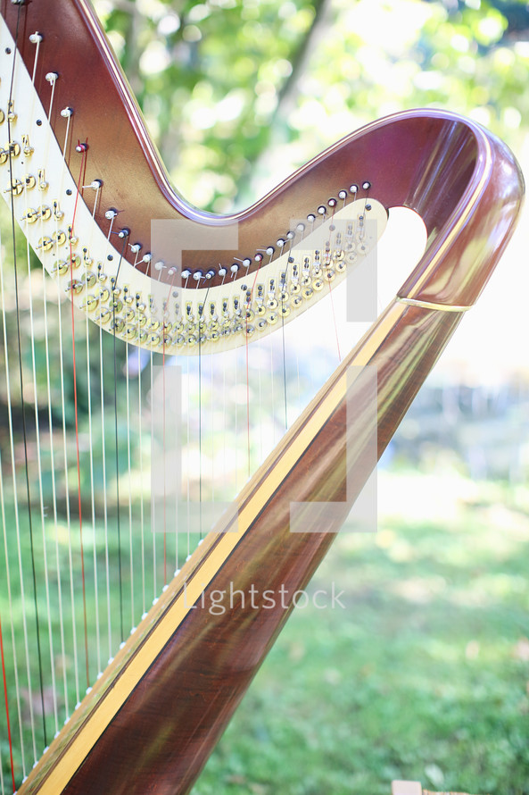 harp strings 