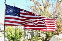 American flags lining a sidewalk 