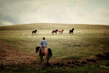 a cowboy herding horses 