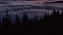 Foggy clouds in forest silhouette in beautiful evening nature after sunset time lapse
