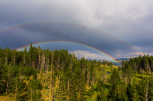 Double rainbow over the treetops.