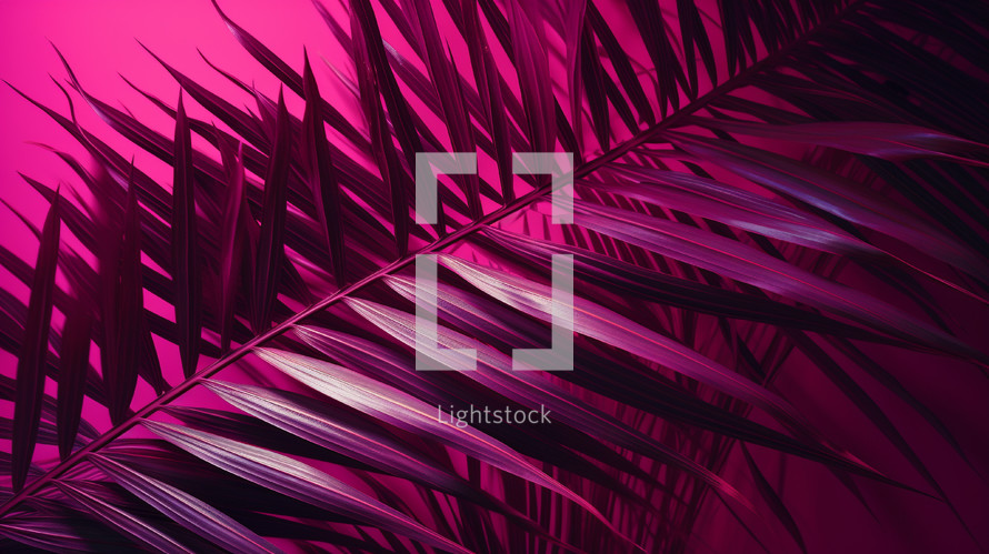Close up of magenta palm leaves on a magenta background. 