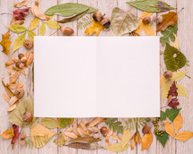 fall leaves border and blank white paper 