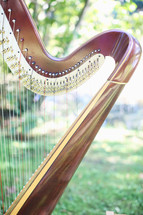 harp strings 