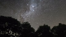 Milky way galaxy stars over trees forest silhouette in dark starry night sky Astronomy Time lapse
