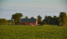 Red farmhouse in green field