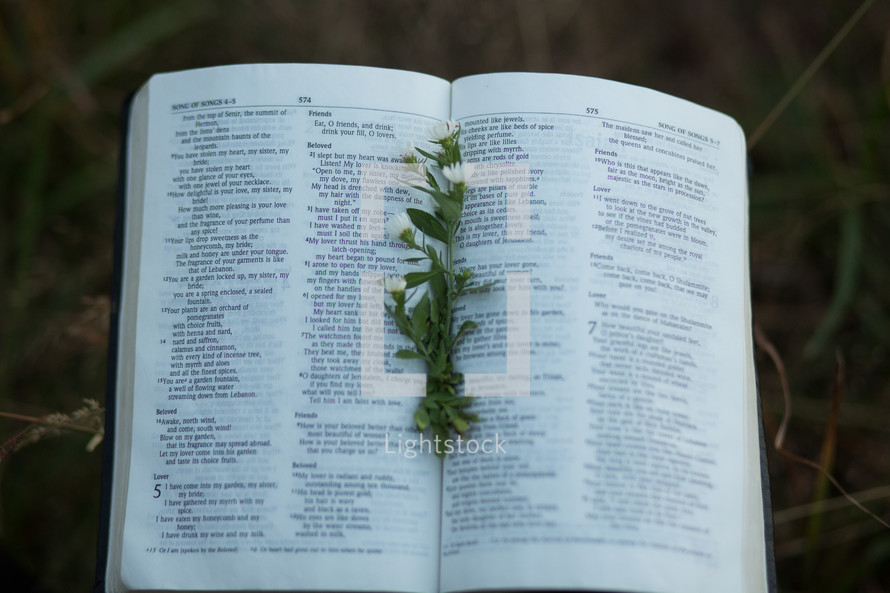 Open Bible with flower bookmark