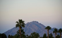 mountain peak and palm trees at sunset 