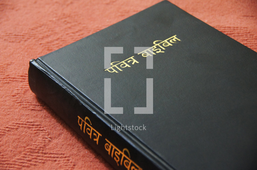 Hindi Bible 