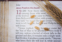 Jesus predicts his death, scripture reading 