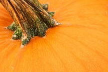 Closeup of a pumpkin