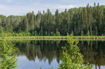 trees surrounding a lake 